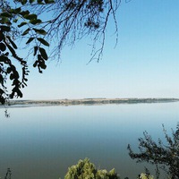 Александр Прейс