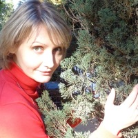 Светлана Рябинина