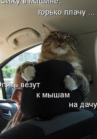 Анатолий Пилипенко