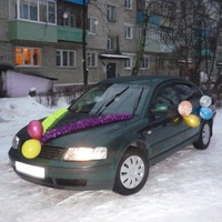 Ирина Ильина