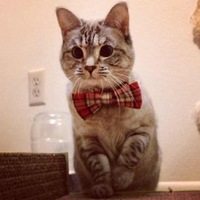 Станислав Ситников