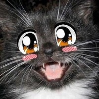 Алексей Павлович