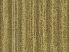 Field - Grain 2