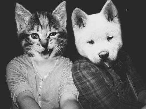 Игорь Вовк, Украина, Кривой Рог