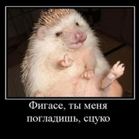 Виталик Гриненко