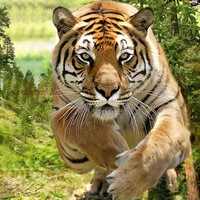 Юрий Соколов