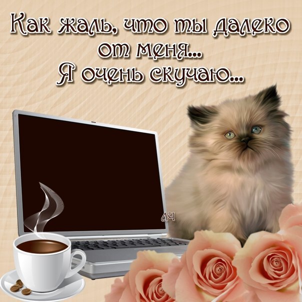 Открытки жаль что ты не рядом, картинки властелин рогатая