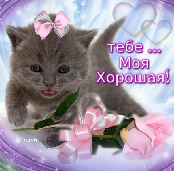 Тебе моя хорошая картинки, подсолнухи ван