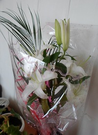 Дина Султанова