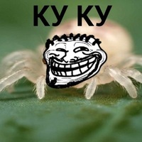 Влад Занозин