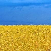 Дмитрий Парфёнов