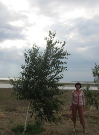 Татьяна Левина
