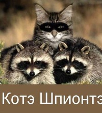 Валерий Егоров