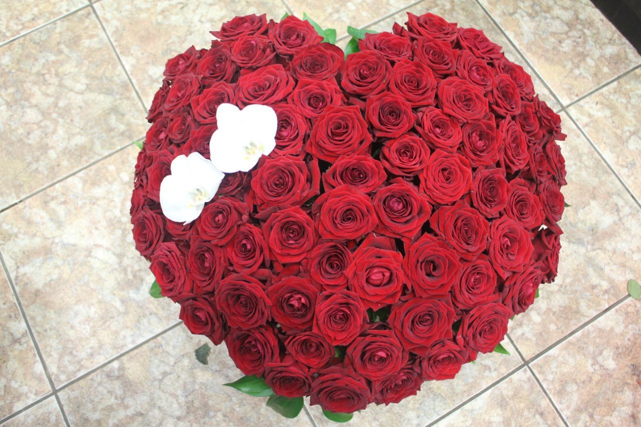 101 Роза дома на полу