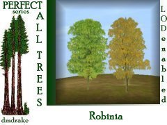 Perfect Robinia-fall