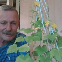 Виталий Горбунов