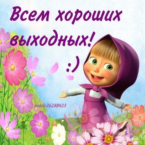 Открытки маша хорошего дня, прикольные