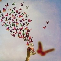 Михаил Соколов