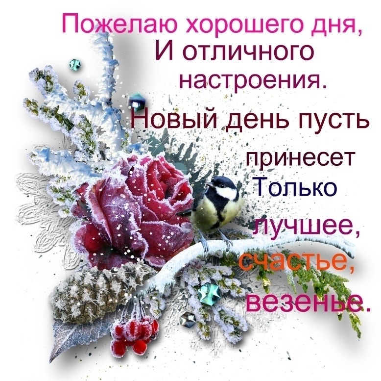 Happy Friday quotes quote friday happy friday days of the week happy friday quot