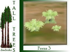 Fern3 tall