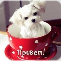 Катюша Корзун