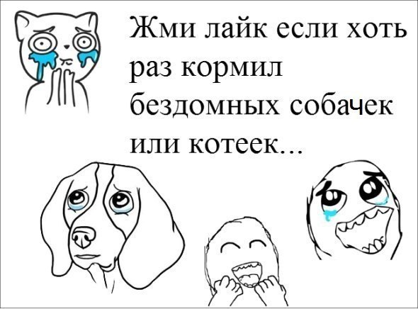 Смешные картинки вконтакте на стену