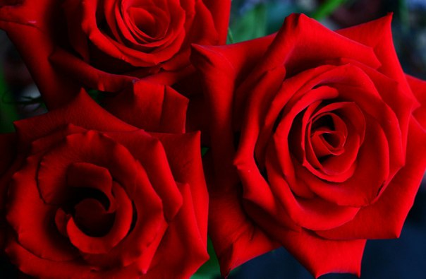 Любовь Дроздова, Украина, Долинская