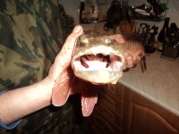 Владимир Захаров