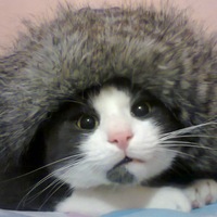 Татьяна Соколова