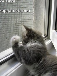 Наталья Зотова