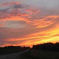 Татьяна Зеленкова