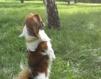 Юрий Беляев