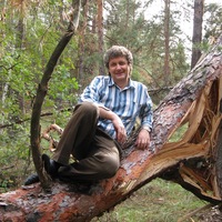 Александр Новиков