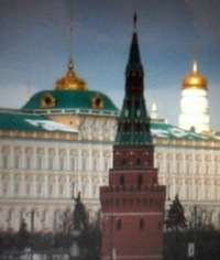 Оля Синица