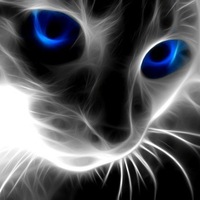 Юля Кошкина
