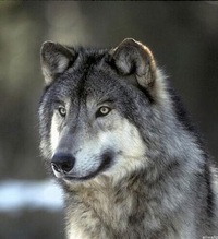 Евгений Васильевич