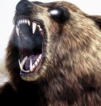 Слава Вшивцев