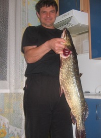 Сергей Горшков