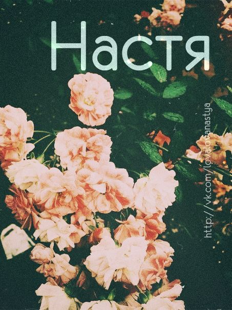 Именные картинки настена, ужасные картинки