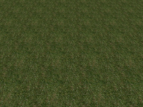 BN Grass texture #8