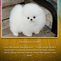София Максимова