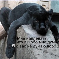 Кошка Крошка