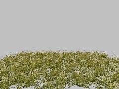 Forest Grass 08 20x20m