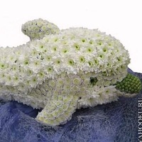 Ли Ирина