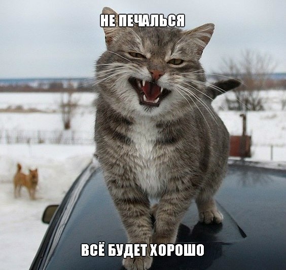 Алексей Белов, Россия, Котлас