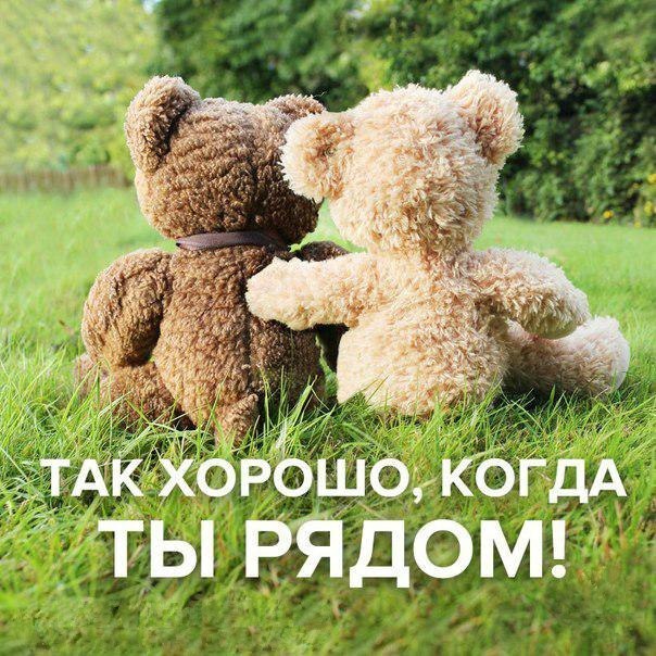 Картинки с надписью ты мой медвежонок