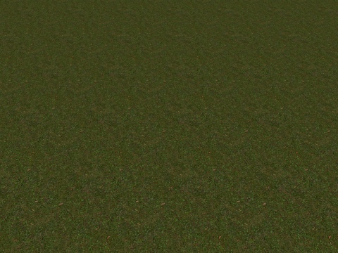 BN Grass texture #5