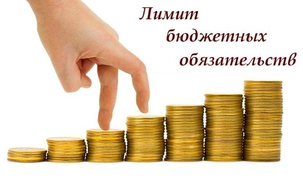 Сверх лимитов бюджетных обязательств. Сверх лимитов бюджетных обязательств