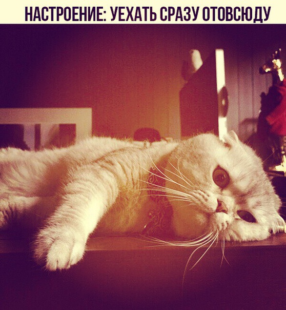 весеннее окно. удалить везде. удалил я тебя отовсюду. выйти отовсюду. выйти отовсюду.