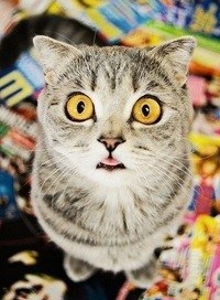 Саша Русанов